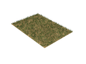 Grass Model 3D