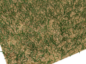 Grass Model 3D