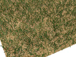Grass 3D Model
