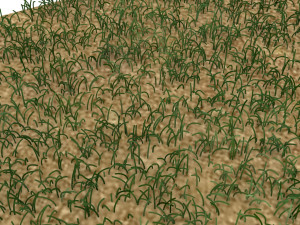 Grass Model 3D