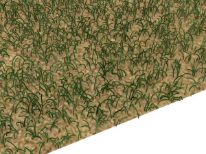 Grass Model 3D