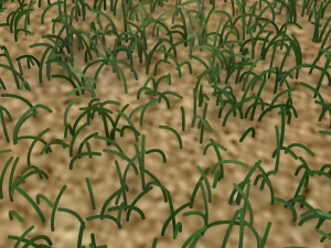 Grass Model 3D