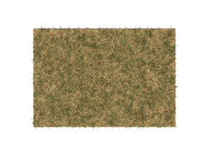 Grass Model 3D
