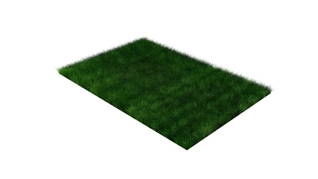 Grasses Modèle 3D .c4d .max .obj .3ds .fbx .stl .blend 
