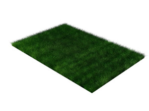 Grasses 3D Model