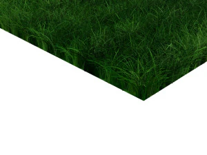 Grasses 3D Model