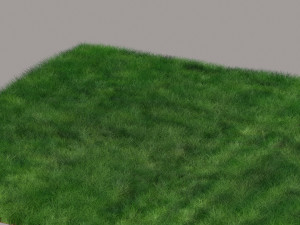 Grass 3D Model
