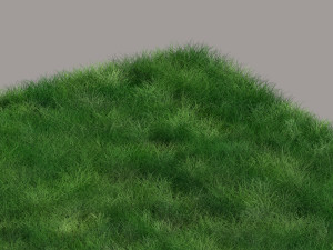 Grass Modelo 3D