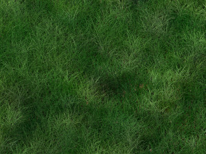 Grass Modelo 3D