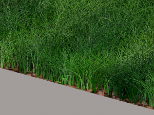 Grass Modelo 3D