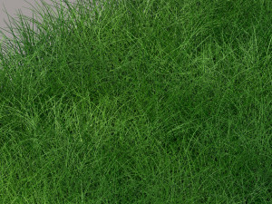Grass Modelo 3D