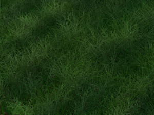 Grass Modelo 3D