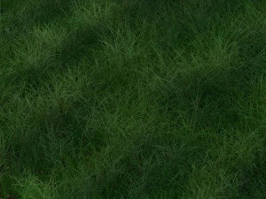 Grass 3D Model