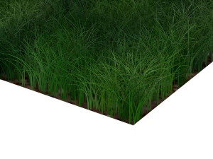 Grass 3D Model