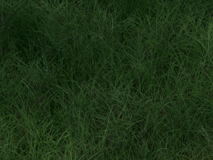 Grass Modelo 3D