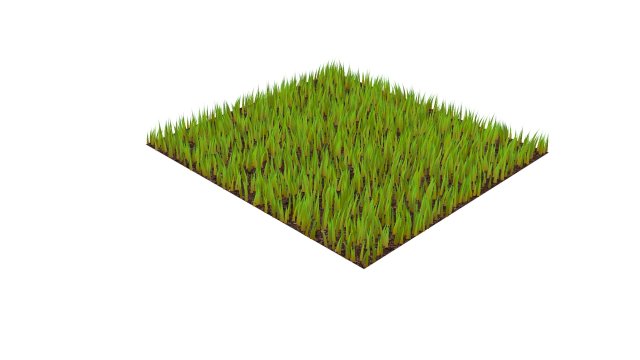 Grasses Model 3D .c4d .max .obj .3ds .fbx .stl .blend 