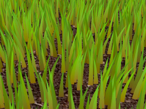 Grasses Model 3D
