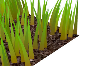 Grasses Model 3D