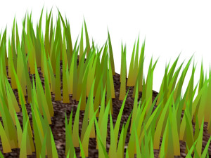 Grasses Model 3D