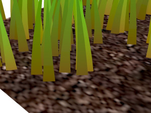 Grasses Model 3D