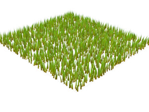 Grasses Model 3D