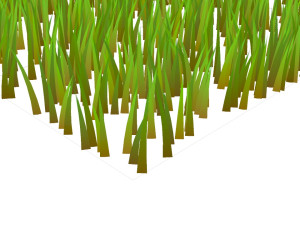 Grasses Model 3D