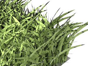 Grasses 3D 模型
