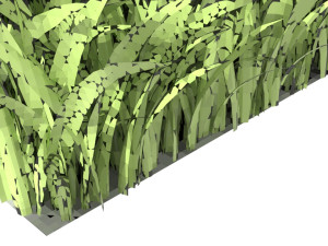 Grasses 3D 模型