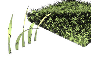 Grasses 3D 模型