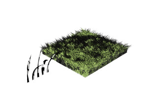Grasses 3D 模型