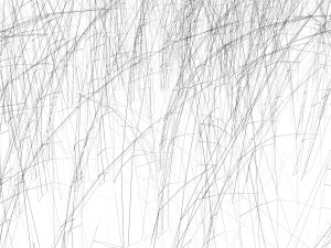 Grasses 3D 模型