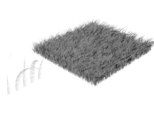 Grasses 3D 模型