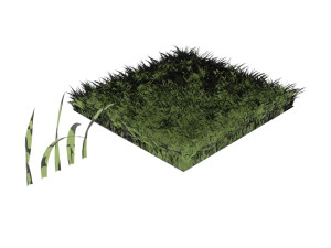 Grasses 3D 模型