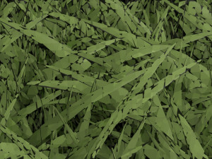 Grasses 3D 模型