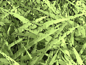 Grasses 3D 模型
