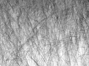 Grasses 3D 模型