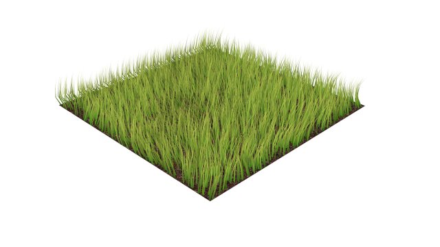 Grass Modèle 3D .c4d .max .obj .3ds .fbx .stl .blend 