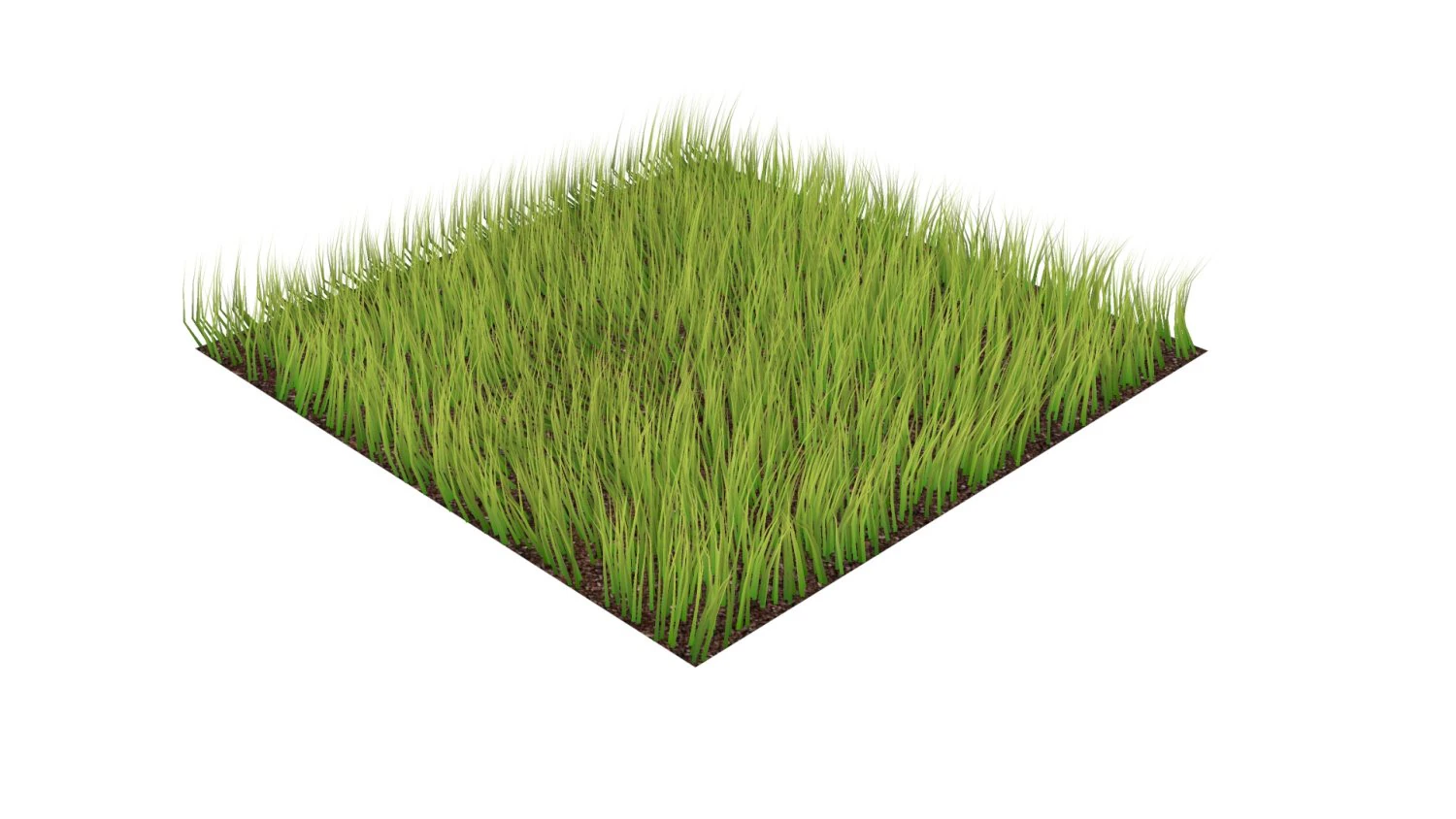 Grass 3D Model .c4d .max .obj .3ds .fbx .stl .blend 