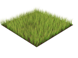 Grass 3Dモデル