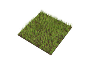 Grass Modèle 3D