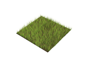Grass Modèle 3D