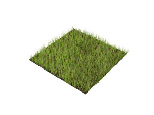 Grass 3D Model