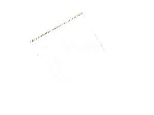 Grass Modèle 3D