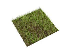 Grass 3D Model