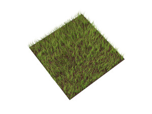 Grass Modèle 3D