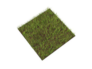 Grass 3D Model