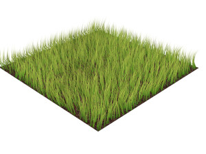 Grass Modèle 3D