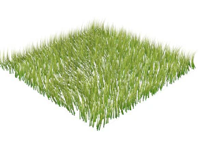 Grass 3D Model