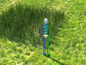 Grass Modelo 3D