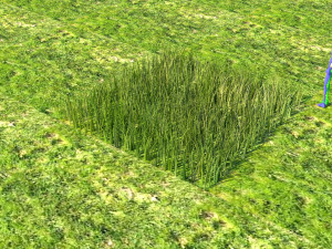 Grass Modelo 3D
